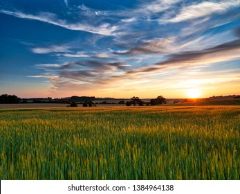 Sunset Over Crop Field In Suffolk UK 