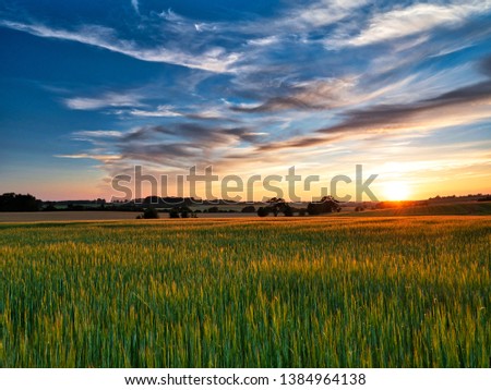Sunset over crop field in Suffolk UK 