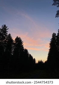 Sunset over a dense pine forest in Finland, with a sky painted in soft pink and blue hues, silhouetting the trees for a peaceful Nordic evening atmosphere.