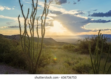 Sunset over the Desert 