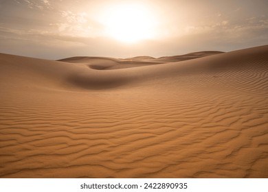 アラブ首長国連邦のアブダビにあるアルハティム砂漠に沈む夕日。金色の砂丘砂漠の風景パノラマ。アラブ首長国連邦のアブダビにあるアルハティムの砂丘に沈む美しい夕日の写真素材