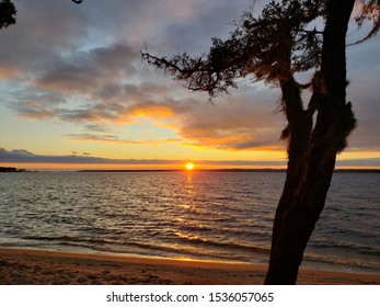 Sunset Over Escambia Bay Tree On Right 