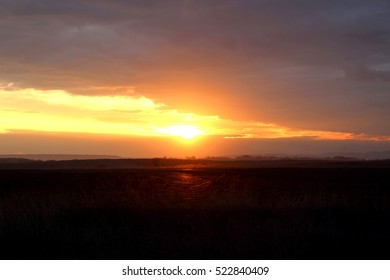 Sunset over Field