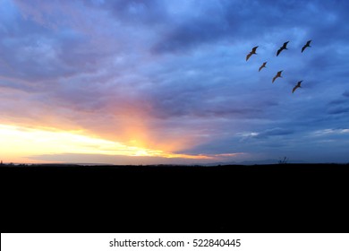 Sunset Over Field