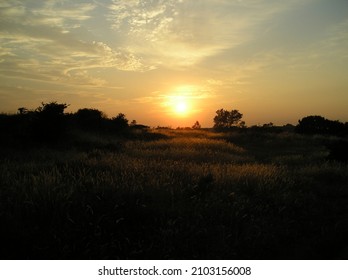 Sunset over a field in the dunes