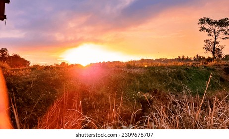 Sunset over a field with grass and trees in the foreground. - Shutterstock ID 2309678707