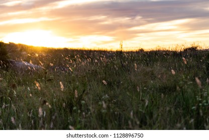 Sunset Over The Fields In Grahamstown, South Africa