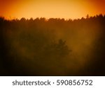 sunset over the forest