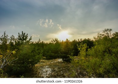 sunset over the forest
