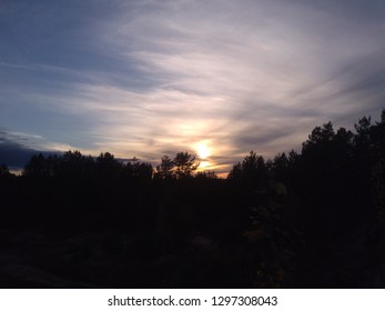 Sunset over the forest