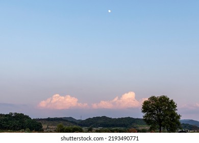 sunset over the forest clouds