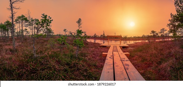 Sunset over the Great Kemeri bog in the Kemeri National Park near Jurmala, Latvia. Empty wooden bench where you can relax and enjoy view of sunset over pond and swamp.