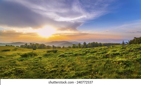 Sunset Over Green Field