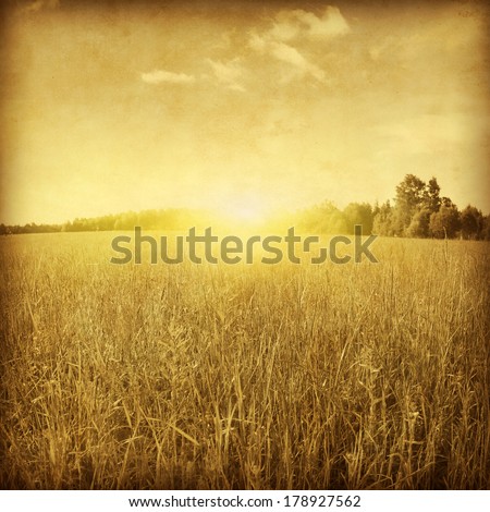 Similar – Image, Stock Photo summer sunny yellow Field