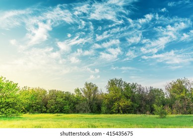 sunset over green meadow and trees in cloudy sky