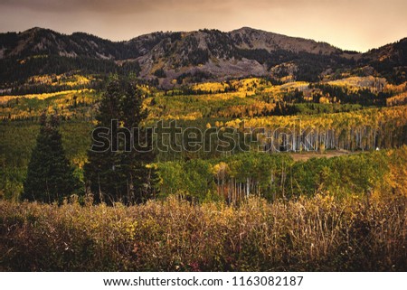 Sunset over Guardsman Pass and it's changing aspen fall colors, just above Park City, Utah.