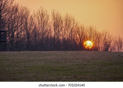 Sunset over a hill with trees