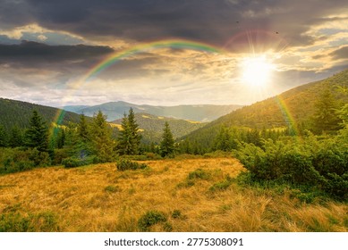 sunset over hillside of mountain range with coniferous forest and grassy meadow. beautiful summer landscape with alp. wonderful nature background of highland under rainbow for earth day
