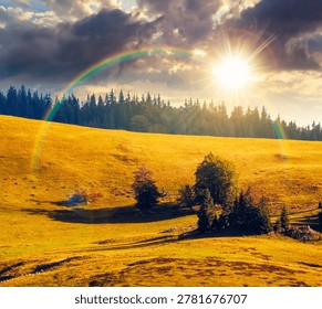 sunset over hillside of mountain range with coniferous forest and meadow under the rainbow. wonderful view of a grassy meadow on steep hill. nature background of apuseni natural park, romania