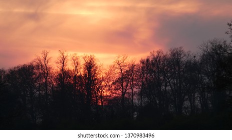 Sunset Over Hylands Park