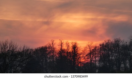 Sunset Over Hylands Park