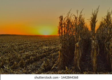 Sunset Over Iowa Farm Corn Field