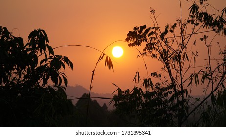 Sunset Over Jungle Landscape In Cát Tiên National Park, Vietnam.