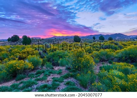Sunset over Mammoth Ridge in the Dixie National Forest near Hatch, UT.