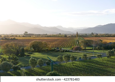 Sunset Over The Marlborough Wine Region Of New Zealand.