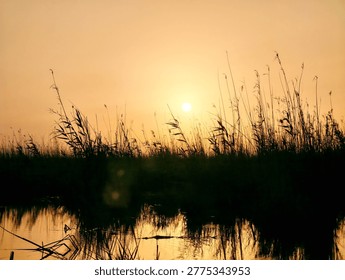 Sunset over marsh grasses reflected in still water, warm golden sky, serene wetland silhouette