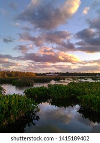 Sunset over marsh at Green Cay Wetlands - Boynton Beach, Florida, United States