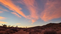 Sunset Over The Mojave Desert, Joshua Tree National Park, California. 