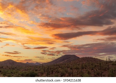 荒野 の画像 写真素材 ベクター画像 Shutterstock