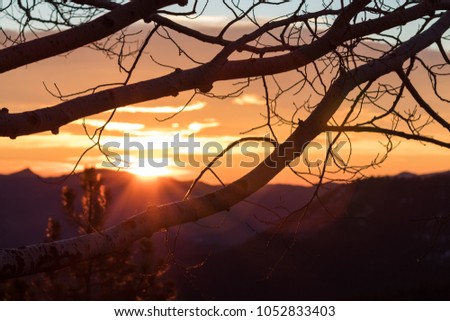  A sunset over a mountain and through the trees in Evergreen Colorado