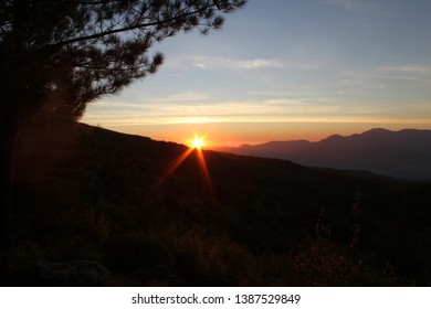 Sunset Over The Moutain Range In Turkey With Pine Tree In The Foreground