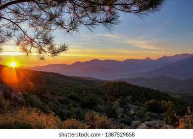 Sunset Over The Moutain Range In Turkey With Pine Tree In The Foreground