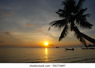 Sunset Coconut Palm Trees On Beach Stock Illustration 2959305