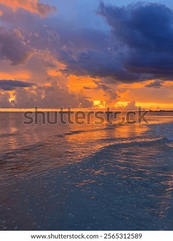 Similar – Image, Stock Photo Golden coast in Jutland