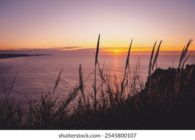 Sunset over the ocean with a warm, colorful sky in shades of pink and orange. The sun sets near the horizon, casting a gentle glow on the calm water. Tall grass silhouettes in the foreground add depth - Powered by Shutterstock