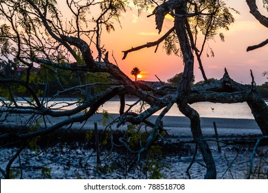 Sunset Over Oso Bay, Just South Of Corpus Christi, Texas, November 2017.