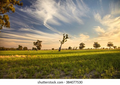 A Sunset Over Outback Australia