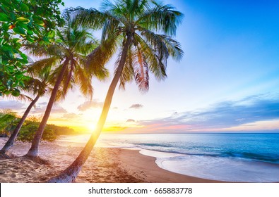 Plage High Res Stock Images Shutterstock