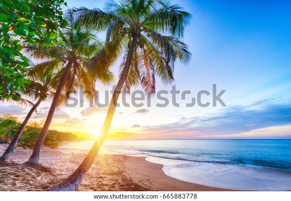 Sunset Over Pearl Beach Plage De Stock Photo Edit Now