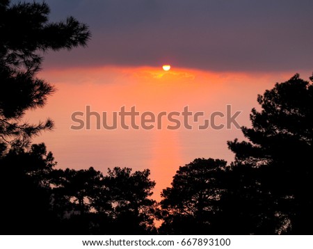 sunset over pine forest in mediterranean Turkey