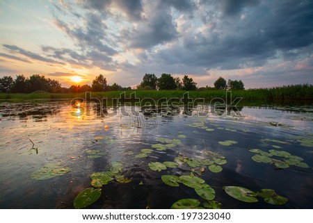 Similar – Image, Stock Photo seascape Reflection