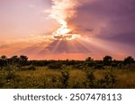 Sunset over the prairie in summer