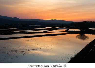 Sunset over the rice fields in the countryside, Hokkaido Japan.
 - Powered by Shutterstock