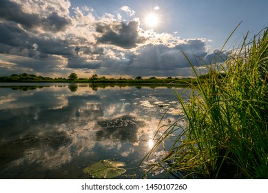 sunset over the river, the water surface on the background of sunset among the river vegetation