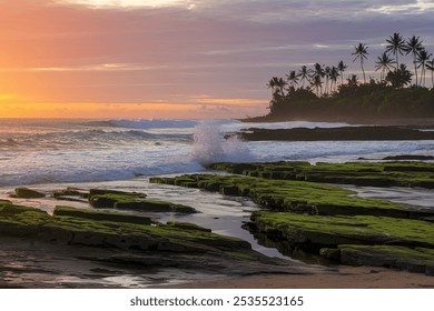 A sunset over a rocky coastline with palm trees in the background, the waves crashing against the shore - Powered by Shutterstock