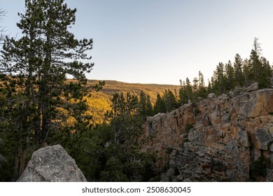 Sunset over a rocky hillside in a dense forest revealing golden light on the trees in the late afternoon hours - Powered by Shutterstock